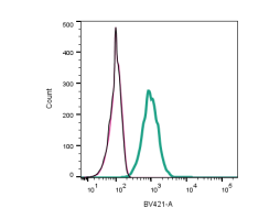 Anti-P2Y12 Receptor (extracellular) Antibody