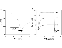 Jingzhaotoxin XI