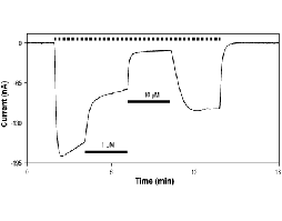 (-)-Bicuculline methiodide