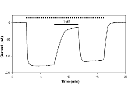 (-)-Bicuculline methochloride