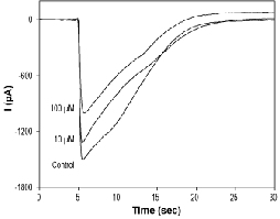 Talipexole dihydrochloride