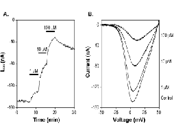 (R)(+)-Bay K8644