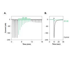 κ-Bungarotoxin