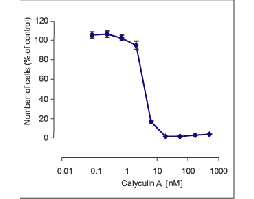 Calyculin A