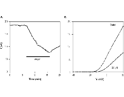 CP 339818 hydrochloride