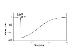 Capsaicin