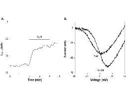 Cilnidipine