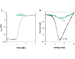 ω-Conotoxin MVIIC