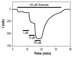 Cyclothiazide