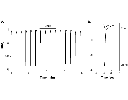7-Chlorokynurenic acid