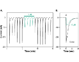 α-Conotoxin ImI-ATTO Fluor-590