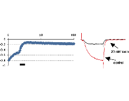 ω-Conotoxin GVIA