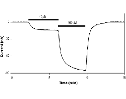 CGS 20625