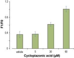 Cyclopiazonic Acid