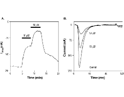 Na<sub>V</sub>1.7-Compound 36