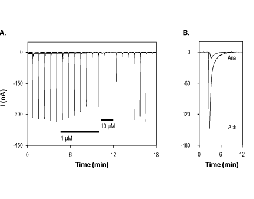 DMAB-anabaseine dihydrochloride