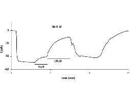 DNQX disodium salt