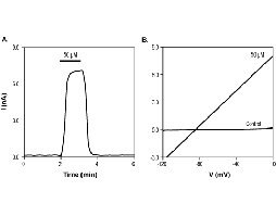 1-EBIO