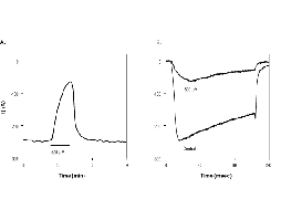 sFTX-3.3