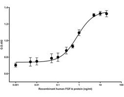 Recombinant human FGF-b protein