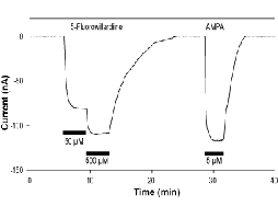 (S)-(-)-5-Fluorowillardiine