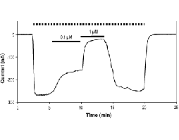 Gabazine hydrobromide