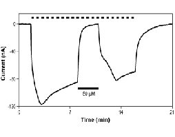 GYKI 53655 hydrochloride