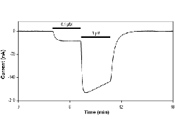 Isoguvacine hydrochloride