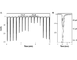 Kynurenic acid