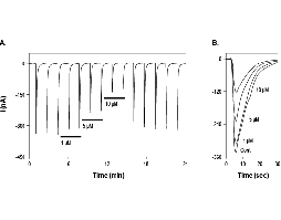 (-)-Lobeline hydrochloride