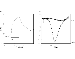 L-Ascorbic acid