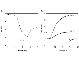 Linopirdine