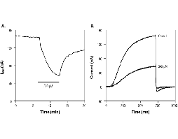 Linopirdine dihydrochloride