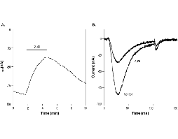 ML 218 hydrochloride