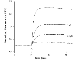 Nonivamide