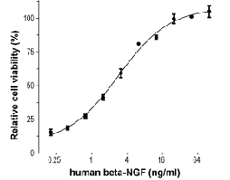 Recombinant human beta-NGF protein