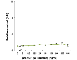 Recombinant human proNGF protein