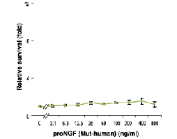 Recombinant human proNGF (cleavage resistant) protein