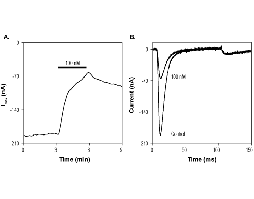 N-Me-aminopyrimidinone 9