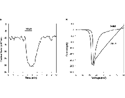 1Kα-Pompilidotoxin