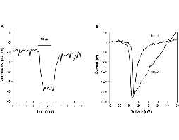 3R-Pompilidotoxin