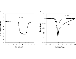 3R12Rα-Pompilidotoxin