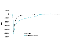 β-Pompilidotoxin