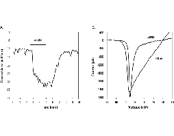 1Kβ-Pompilidotoxin