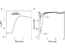 PF-04856264