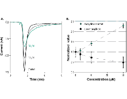 Na<sub>V</sub>1.1-Compound 3a
