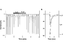 QNZ 46