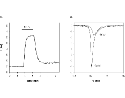 Ralfinamide mesylate