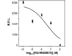 RQ 00203078