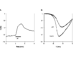 SR 33805 oxalate